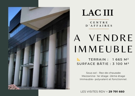 A Vendre Immeuble à usage multiple Lac2 - Bien immobilier à {"id":23,"country_id":219,"name":"TUNIS","slug":"tunis"} - Le Point Immobilier Tunisie
